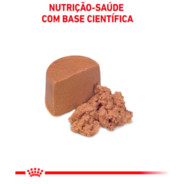 Ração Úmida Royal Canin Lata Veterinary Diet Recovery para Cães e Gatos em Recuperação - 195 g - Image 3