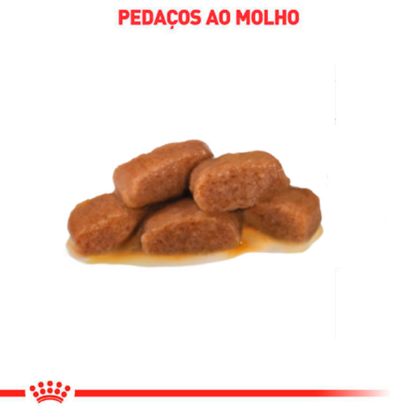 Ração Úmida Royal Canin Sachê Veterinary Diet Gastrointestinal Gatos com Doenças Intestinais - 85g - Image 3