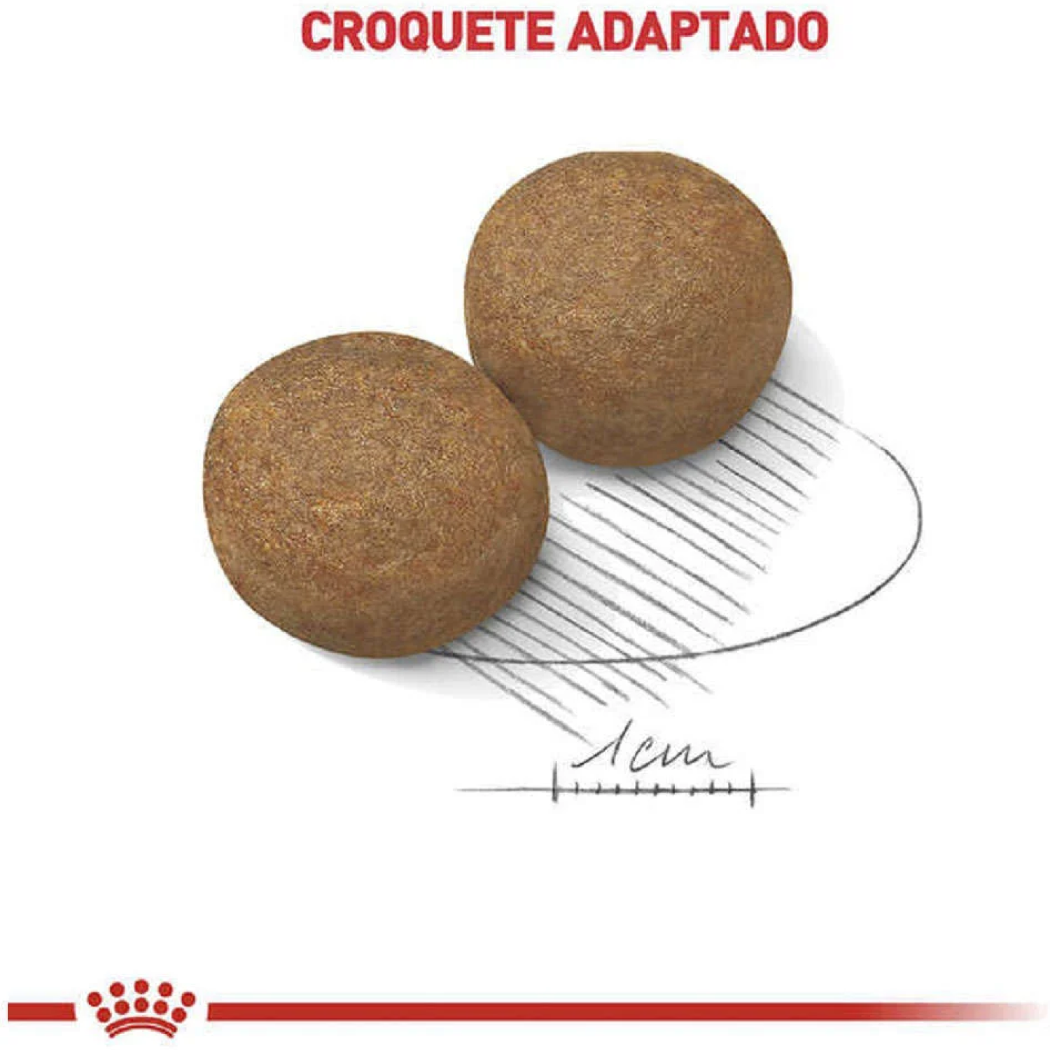 Ração Royal Canin Maxi Adult para Cães Adultos Grandes a partir de 15 Meses de Idade - 15kg - Imagem 5